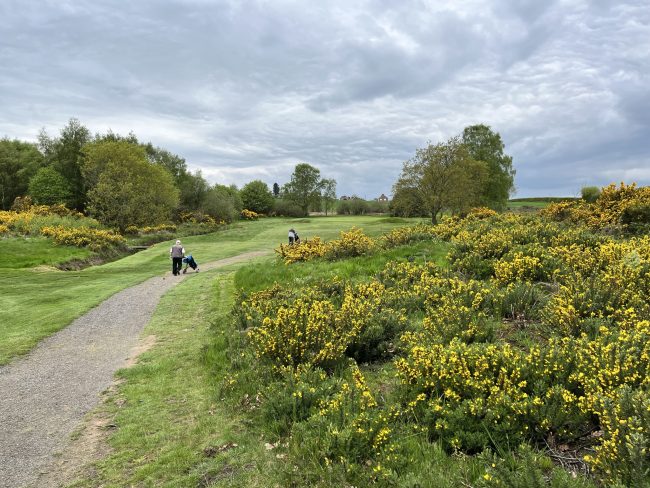 South Moor – 14.05.23 (12)