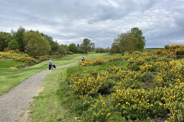 South Moor – 14.05.23 (12)